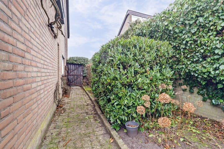 Foto 37 van de Bas 9