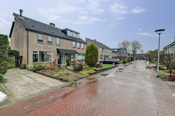 Foto 38 van de Bas 9