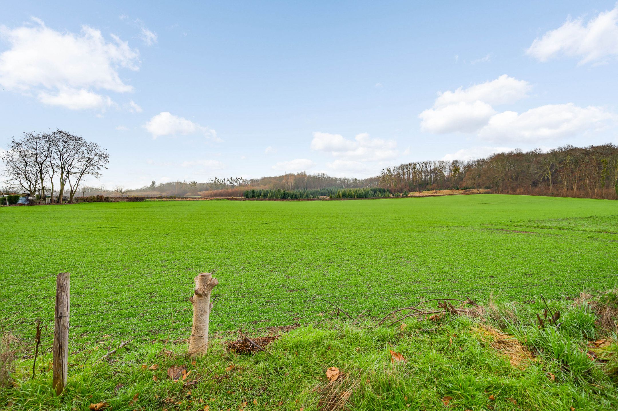 Foto 21 van Pastoor Arnold Somyasingel 50