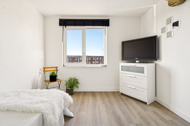 Foto 34 van Pronkmos 21