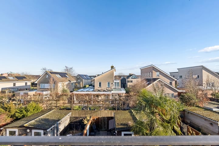 Foto 38 van Pronkmos 21