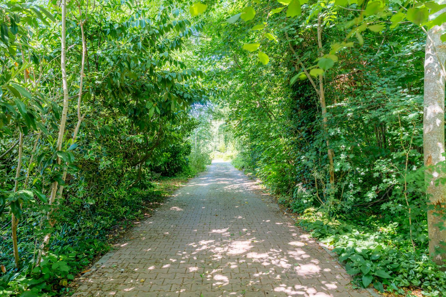 Photo 34 of Rondweg 46