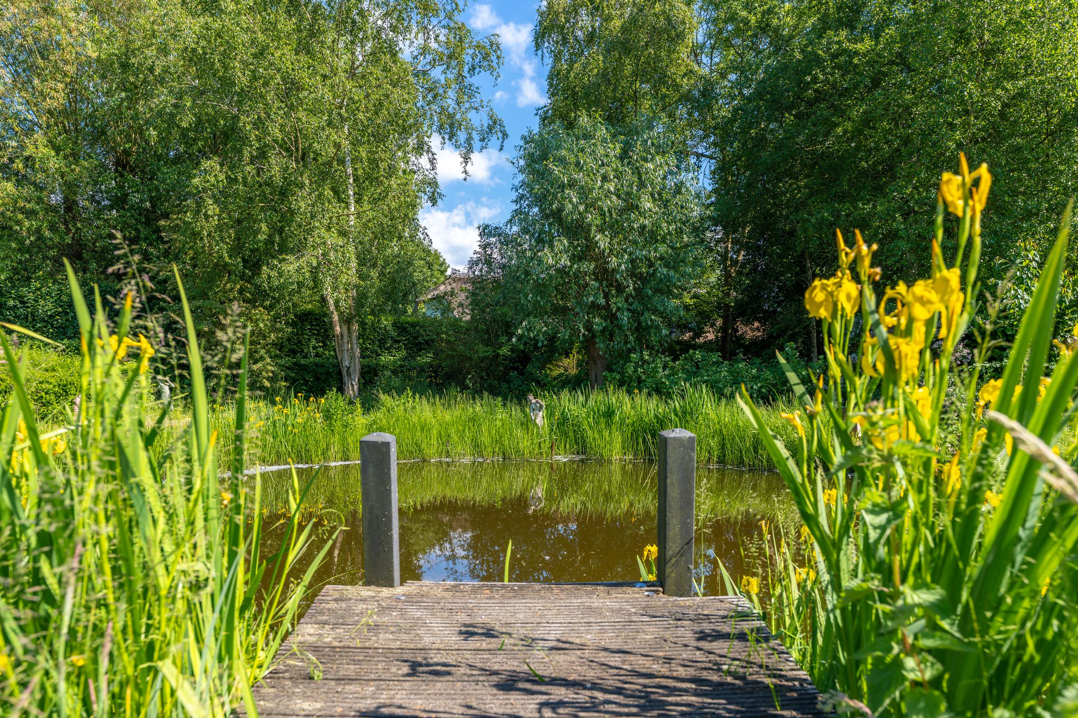 Photo 36 of Rondweg 46