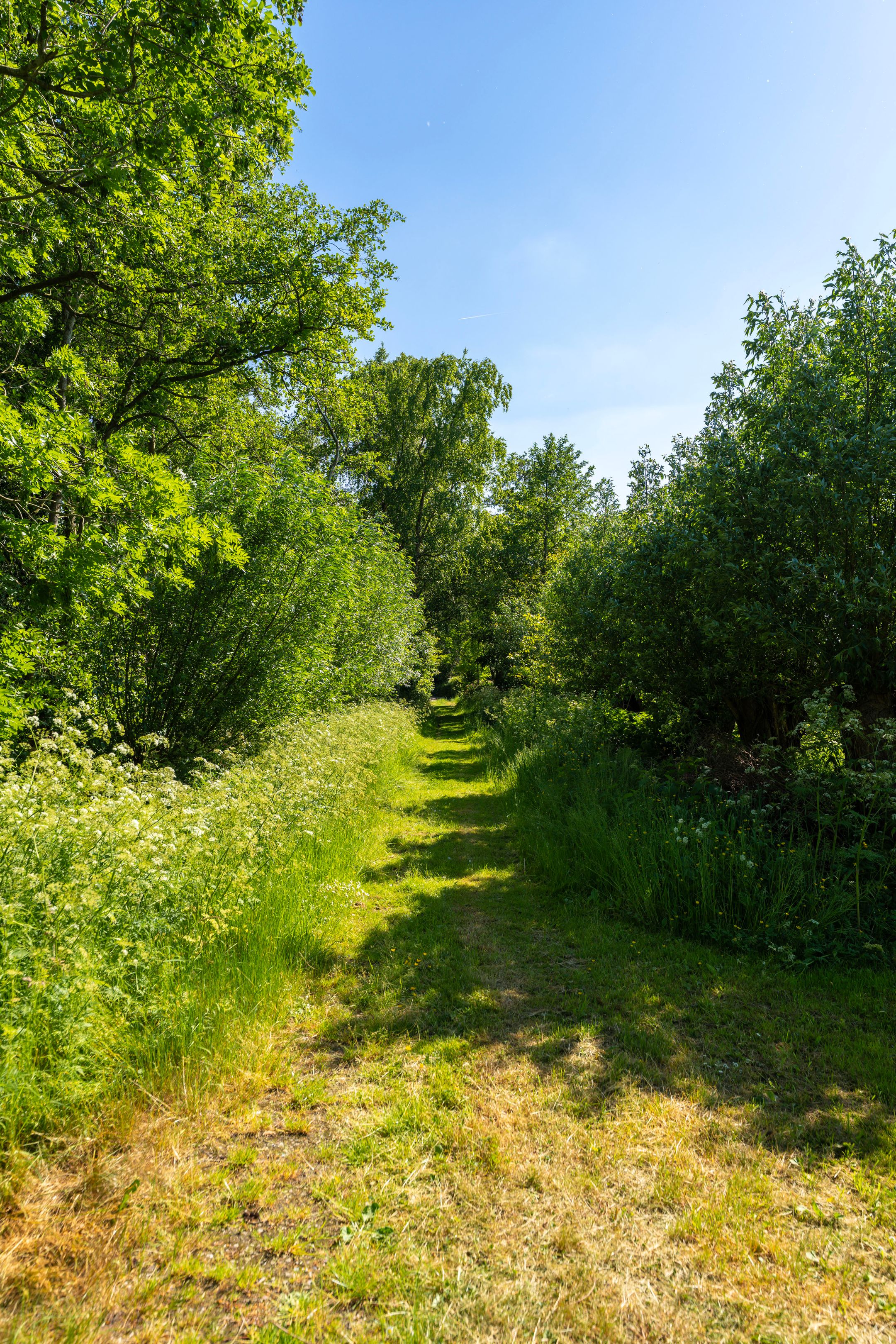 Photo 39 of Rondweg 46