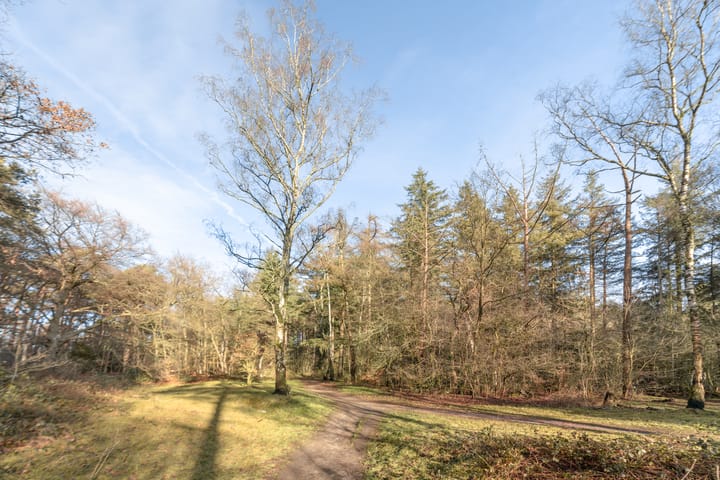 Foto 39 van Oosterspoorlaan 8