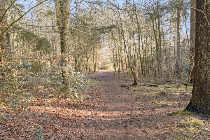 Foto 40 van Oosterspoorlaan 8