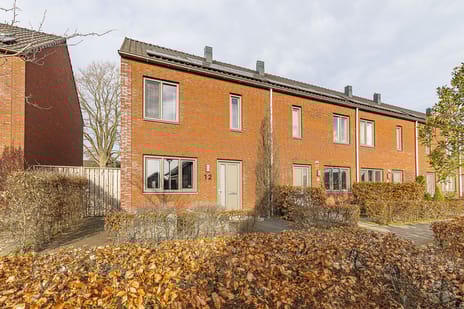 undefined main image