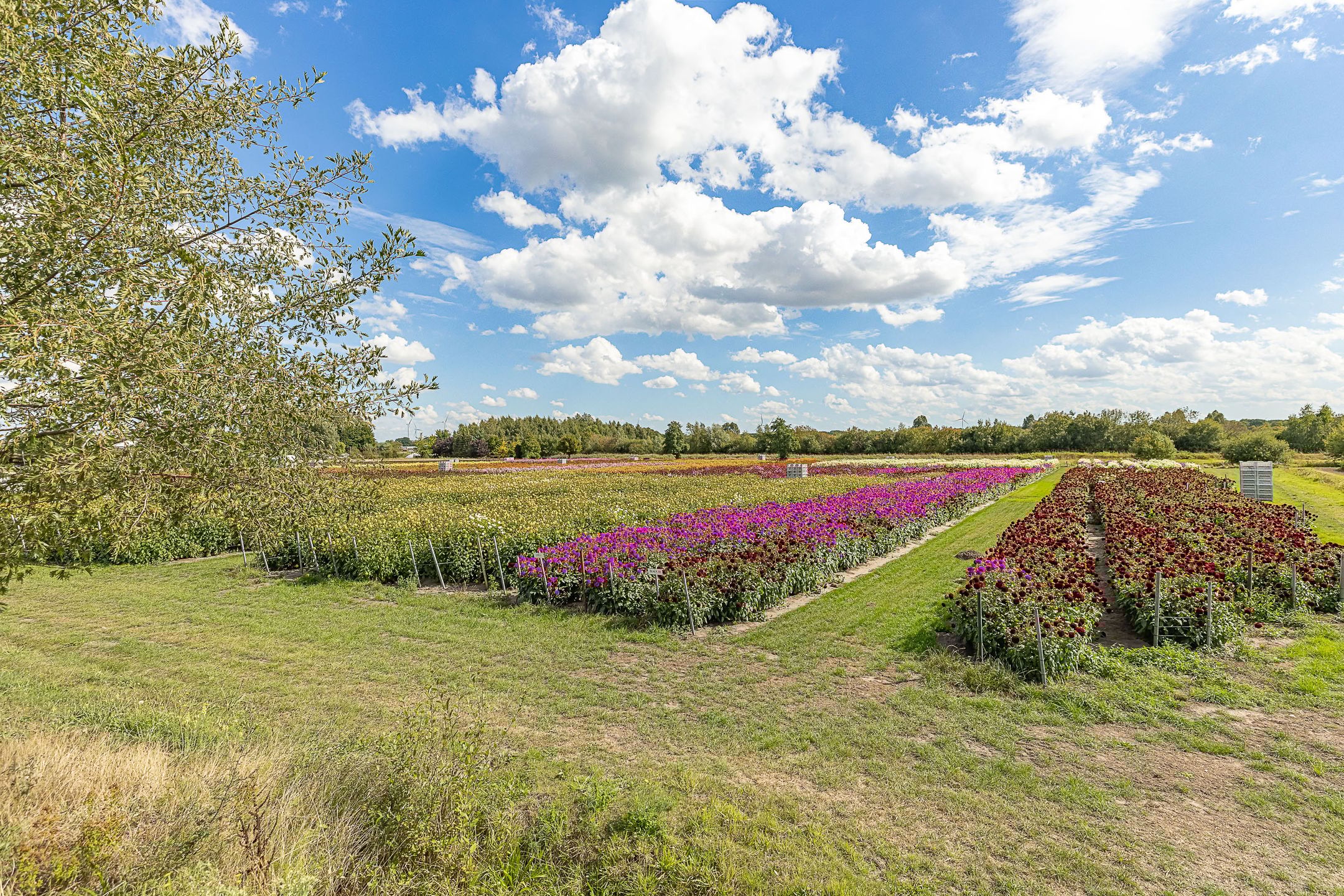 Foto 39 van Weerreys Park 12