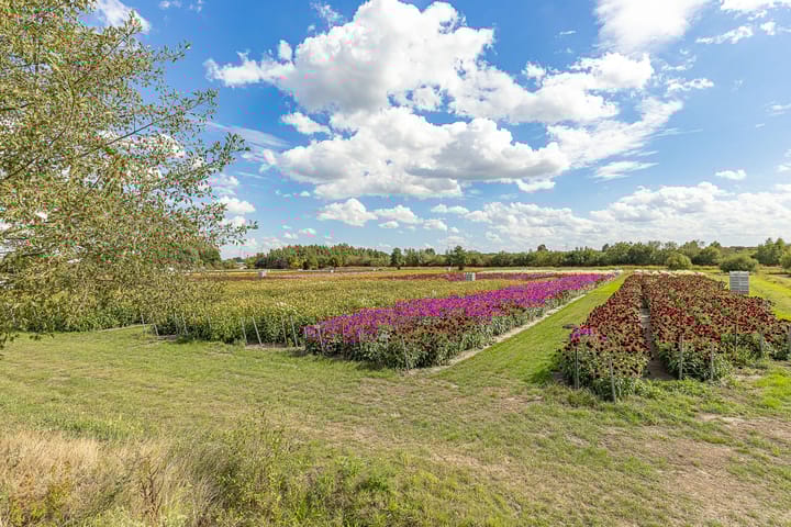 Foto 39 van Weerreys Park 12