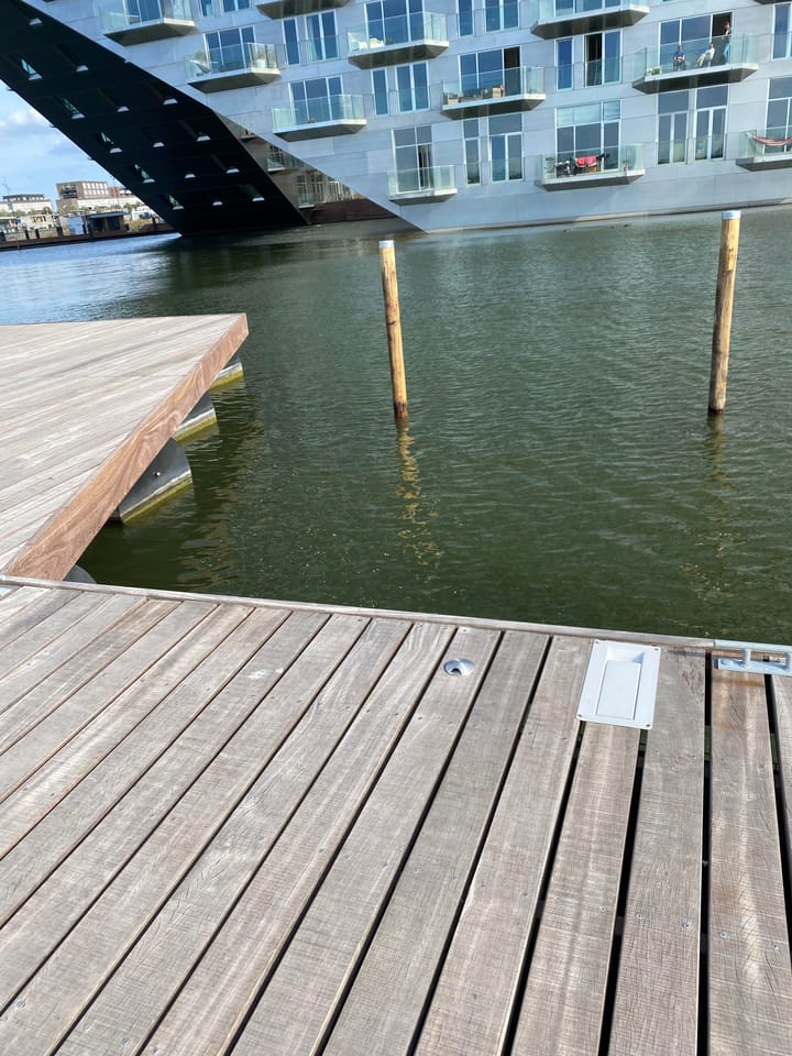 Foto 5 van Haringbuisdijk