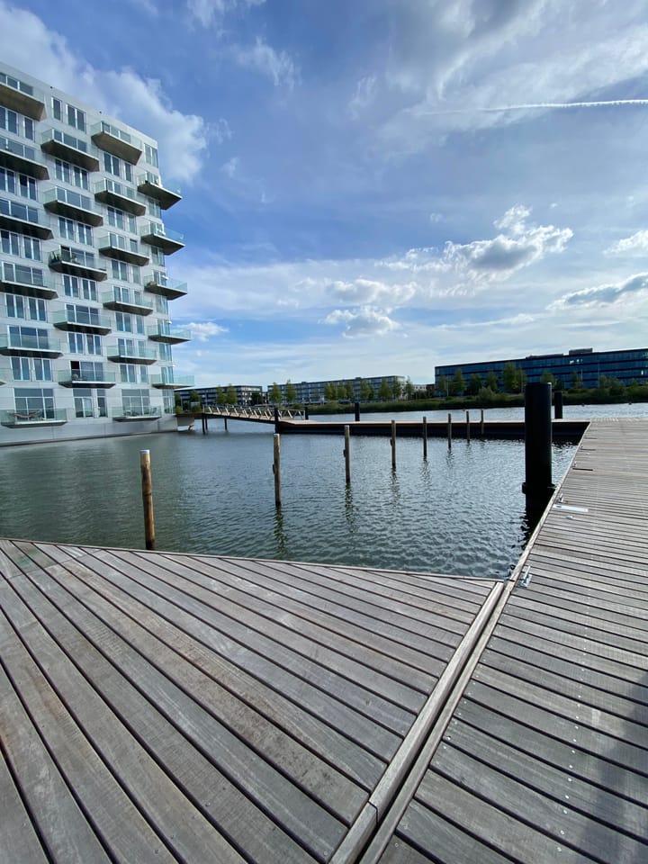 Foto 6 van Haringbuisdijk