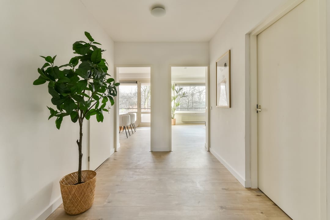 Foto 7 van John F. Kennedylaan 145