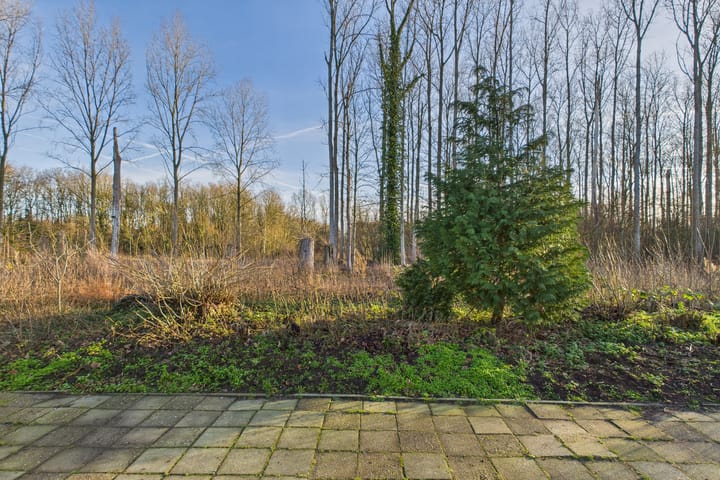 Foto 39 van Drieschouwen 13