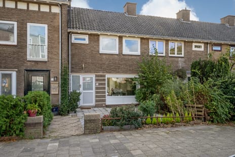 Nicolaas Beetslaan thumbnail