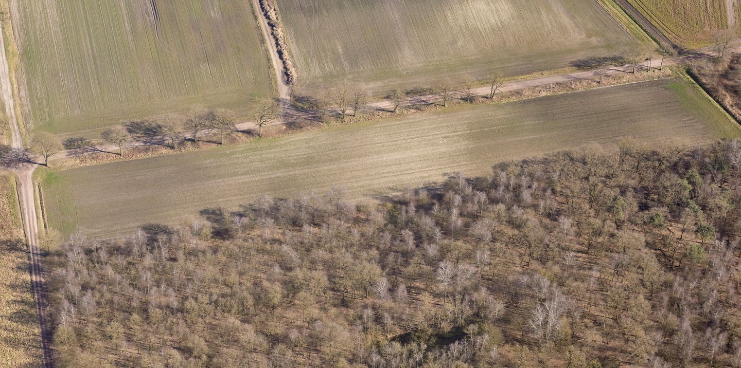 Bekijk foto 5 van Leveroysedijk/ Schoordijk