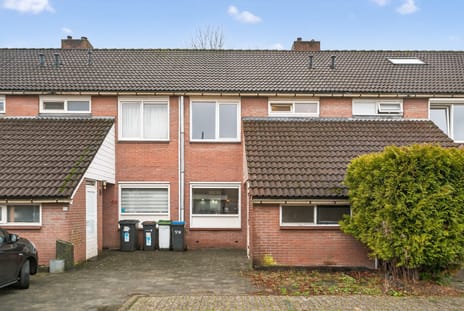 undefined main image