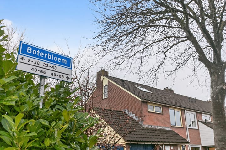 Foto 2 van Boterbloem 55