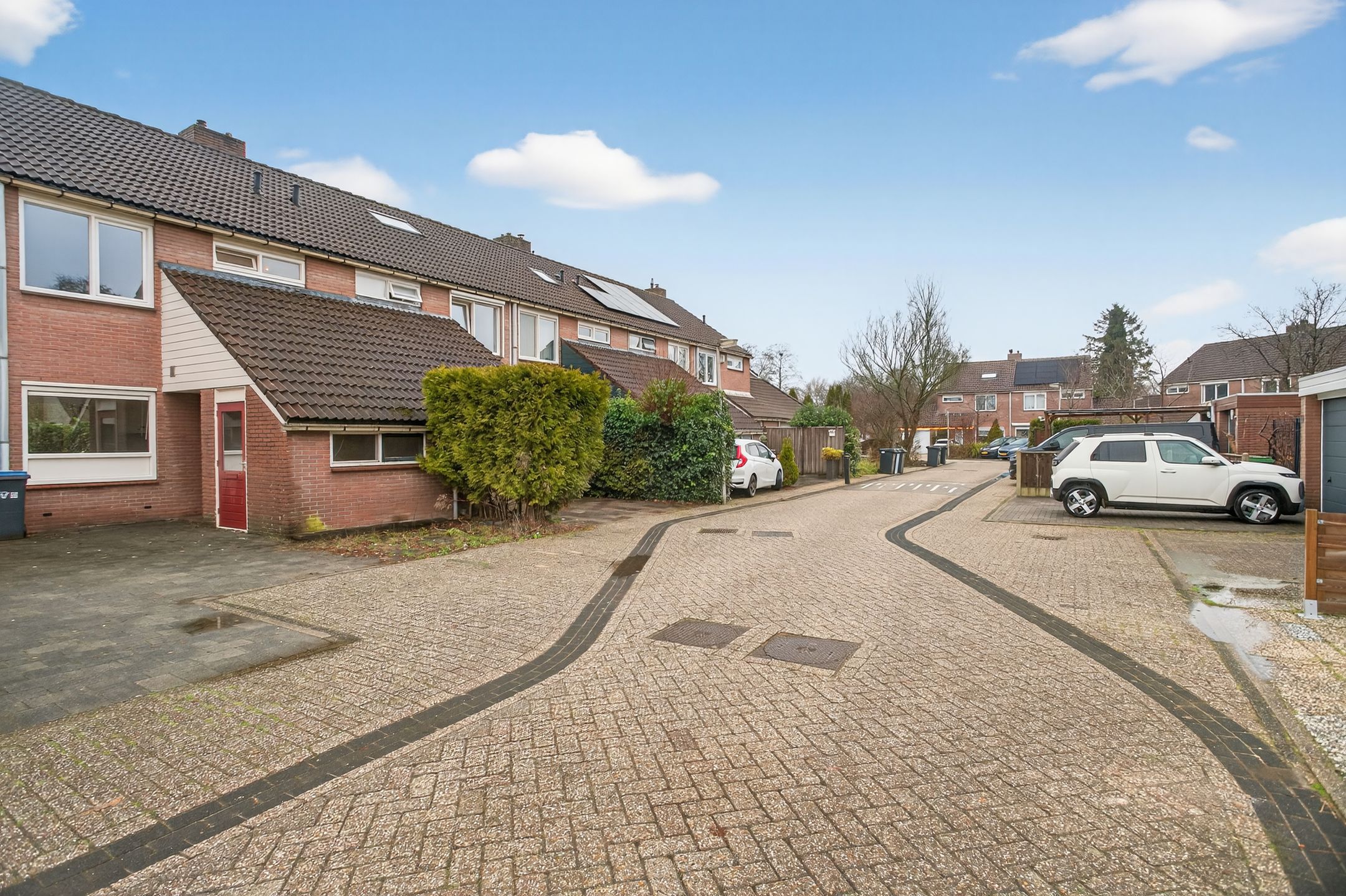 Photo 3 of Boterbloem 55
