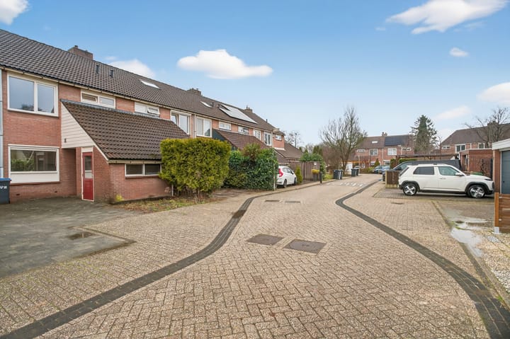 Foto 3 van Boterbloem 55