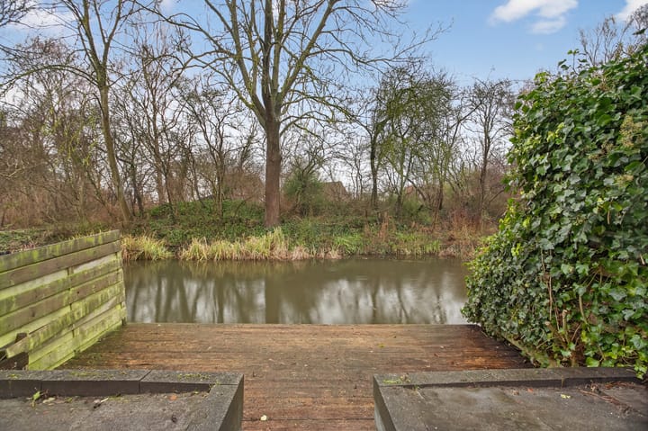 Foto 4 van Boterbloem 55