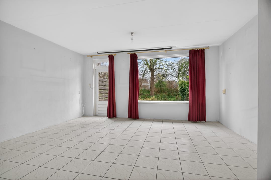 Photo 7 of Boterbloem 55