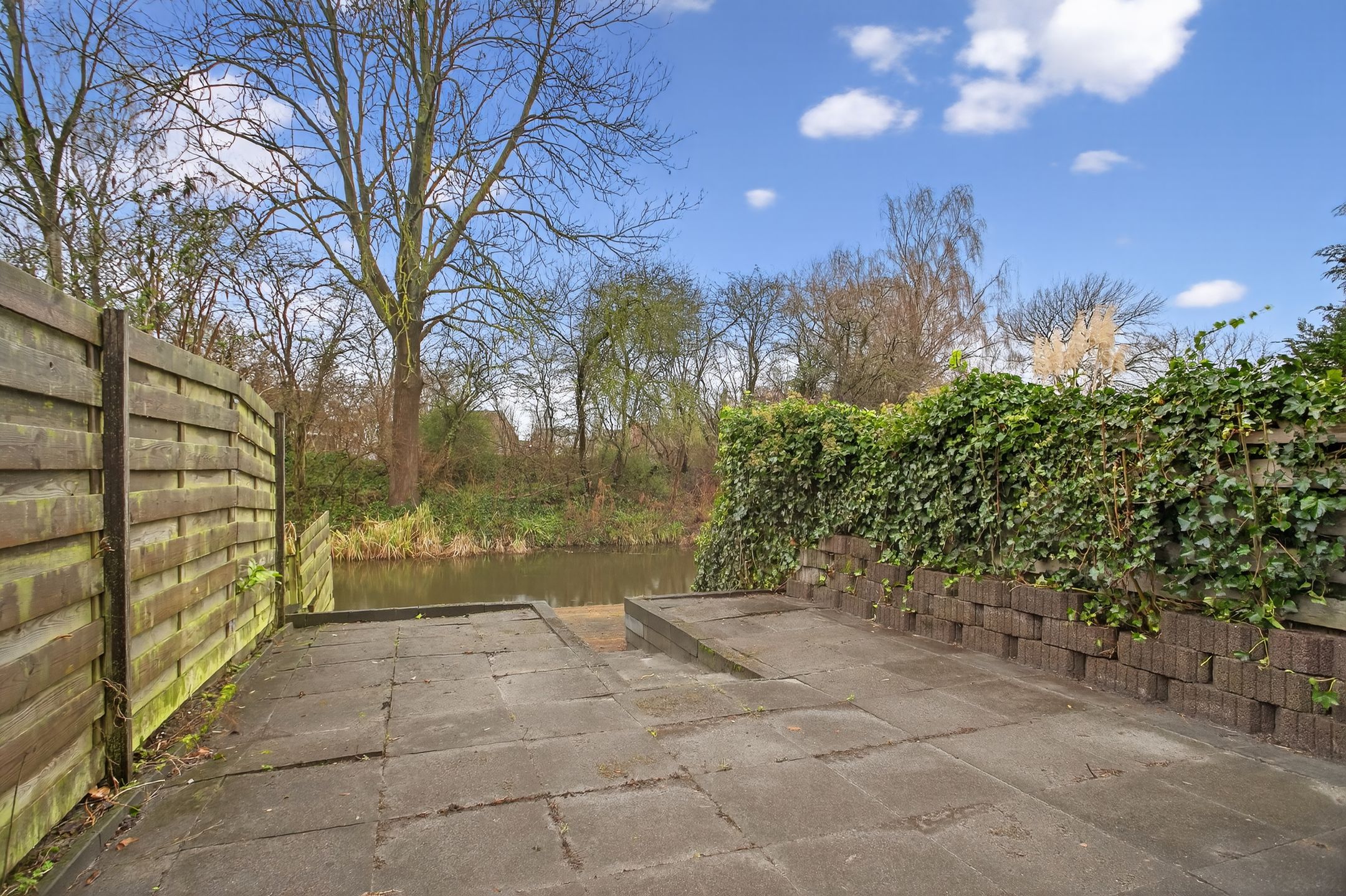 Photo 27 of Boterbloem 55