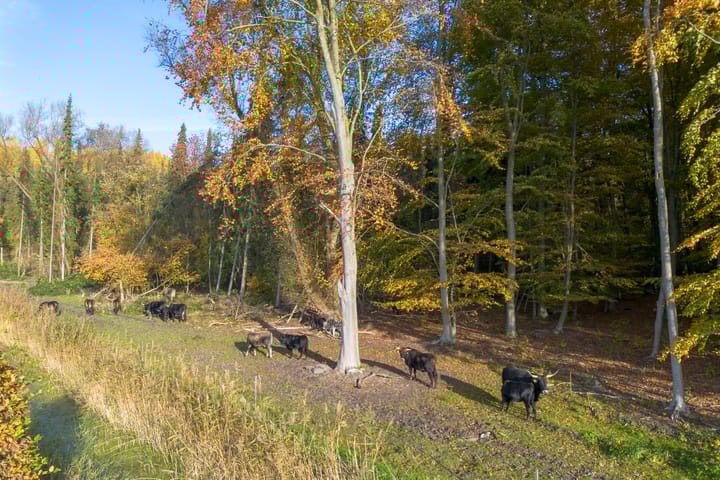 Foto 42 van Pluvierenweg 9-566