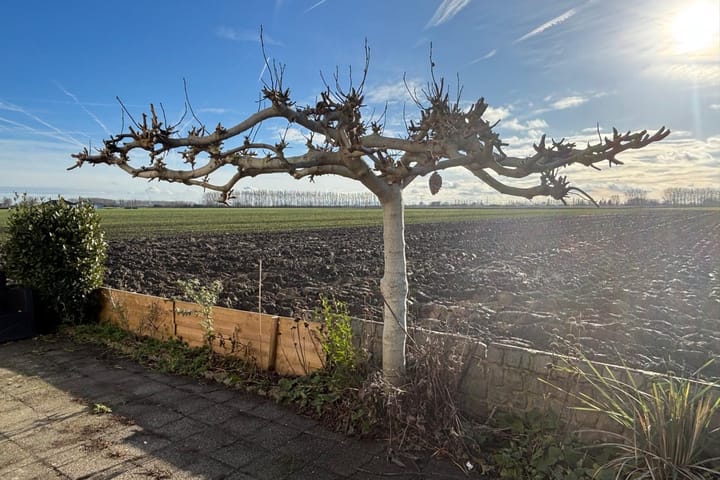 Photo 37 of P.C. Boutensstraat 13