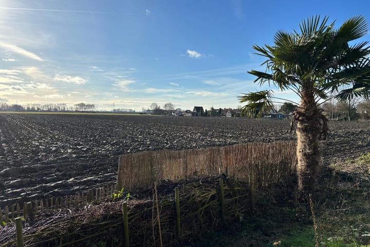 Photo 40 of P.C. Boutensstraat 13