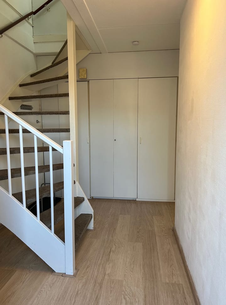 Photo 3 of Pimpelmees 24