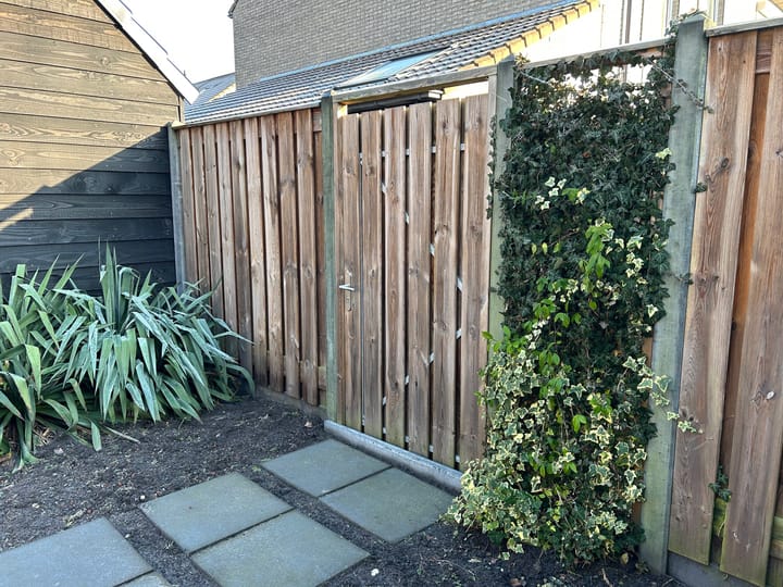 Foto 34 van Pimpelmees 24