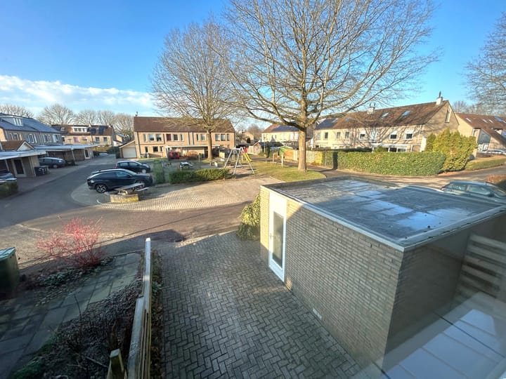 Foto 38 van Pimpelmees 24