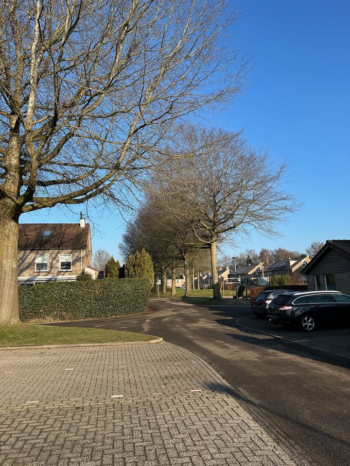 Foto 40 van Pimpelmees 24