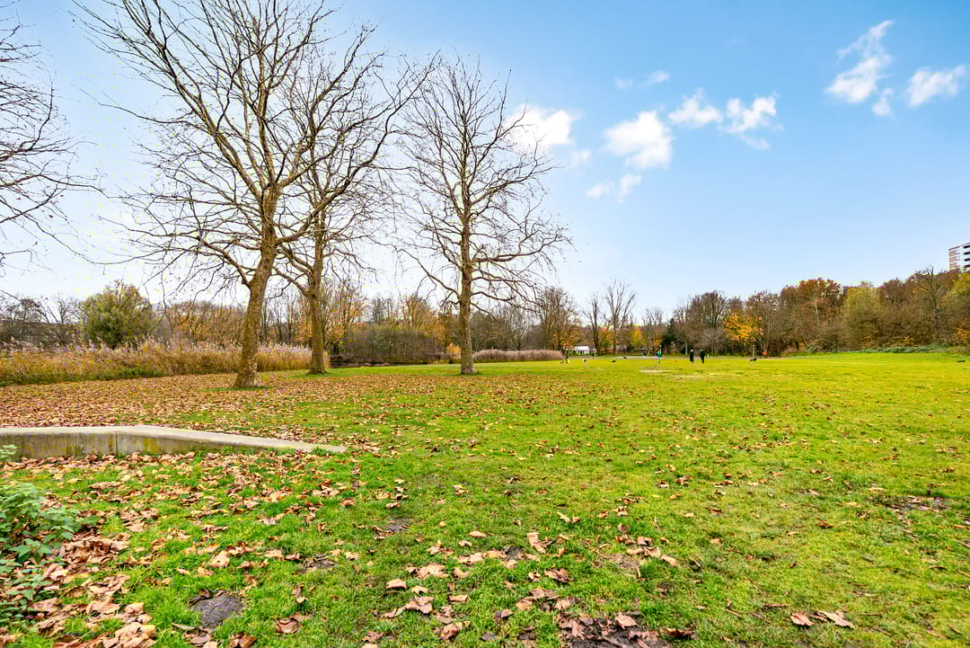 Foto 31 van Rijnlandlaan 351