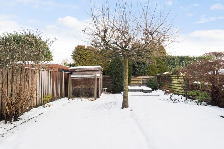 Foto 18 van Houtwal 15