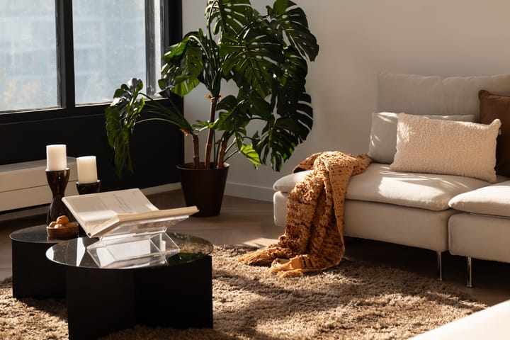 Foto 13 van Berlaarstraat 197