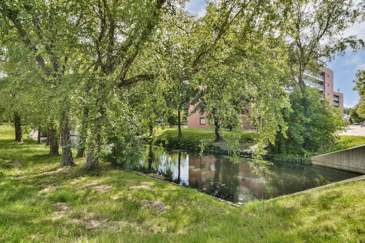 Foto 27 van Berlaarstraat 197