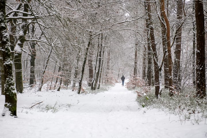 Foto 93 van Wolfhezerweg 120-32