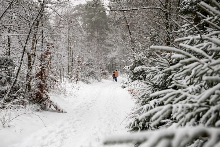 Foto 94 van Wolfhezerweg 120-32