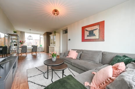 Frans Halslaan thumbnail