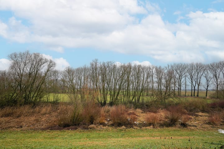 Foto 59 van Dorpsstraat 91