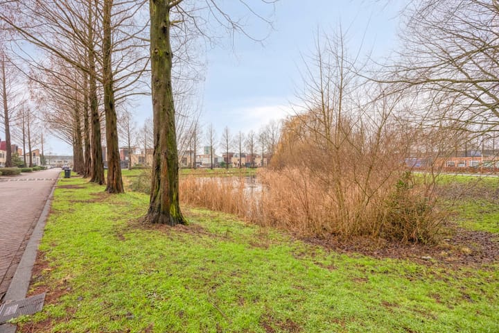 Photo 38 of E. du Perronstraat 34