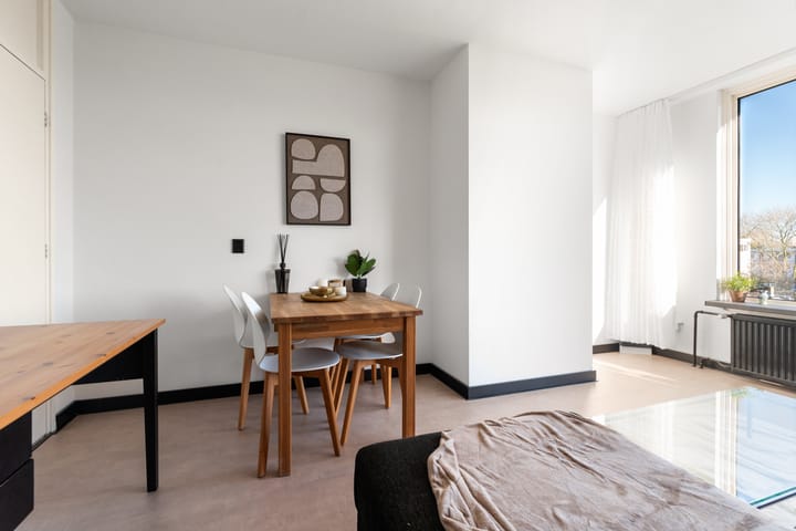 Foto 5 van Platostraat 232