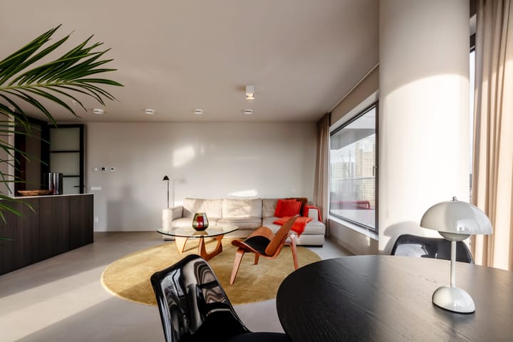 Foto 9 van Baan 46-T