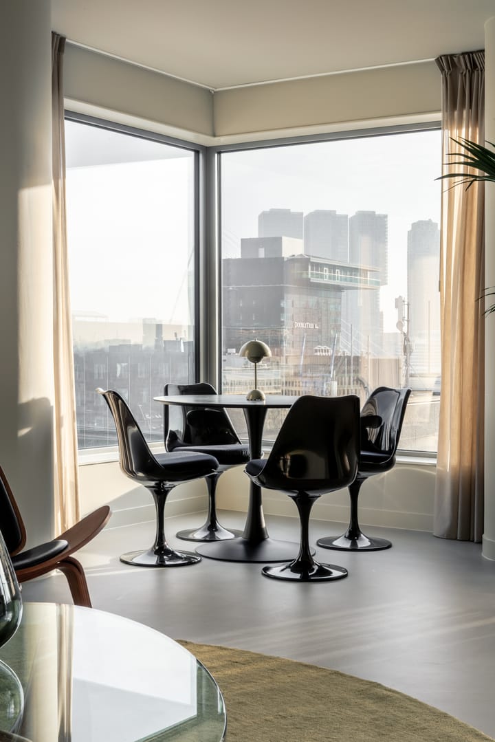 Foto 10 van Baan 46-T