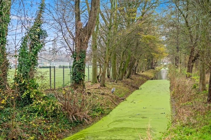 Foto 31 van Gerstkamp 266