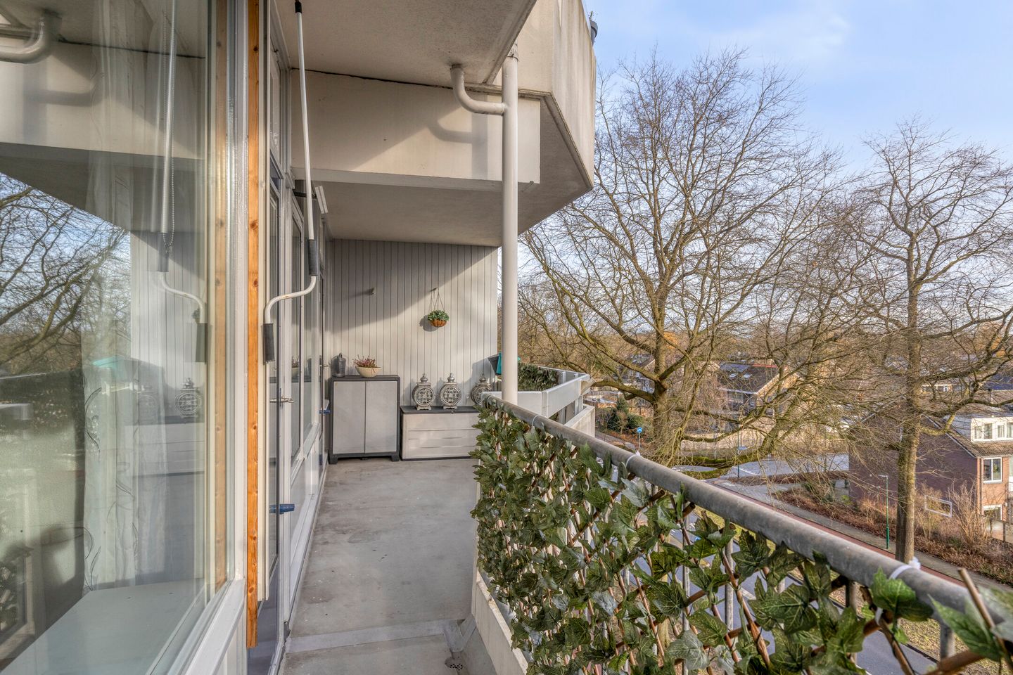 Photo 4 of Pollux 161