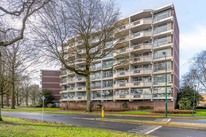 Photo 5 of Pollux 161