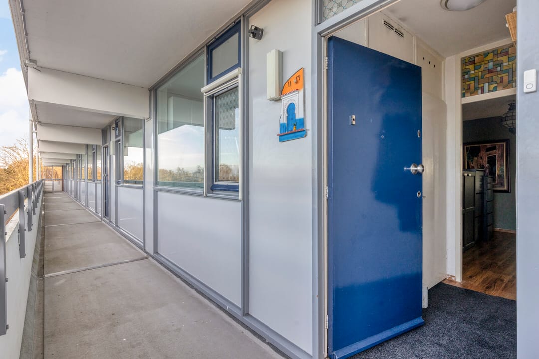 Photo 7 of Pollux 161