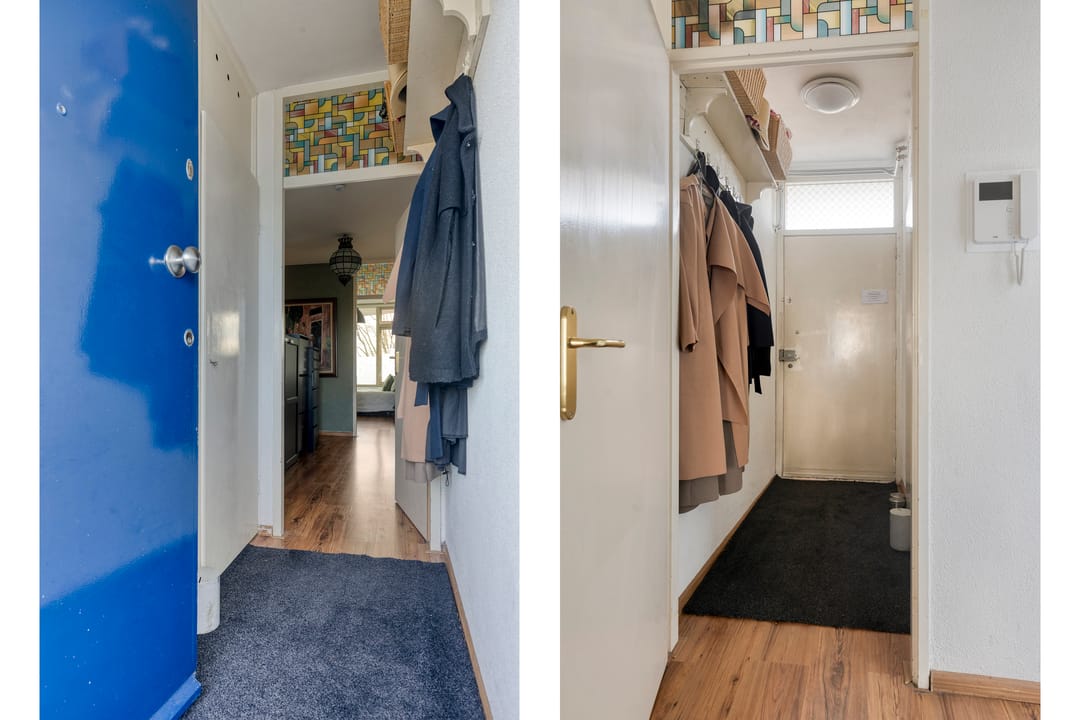 Photo 8 of Pollux 161